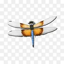 ���������-������