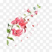 水彩精致艺术花卉-空若网 水彩精致艺术花卉-空若网