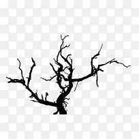 ��ɢ�Ĳ��Ƶ���֦-������