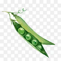 蔬菜素材-空若网 蔬菜素材-空若网