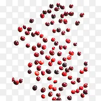 ��ɫ����ʳ��-������