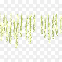 树叶底纹-空若网 树叶底纹-空若网