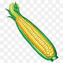 甜玉米食物-空若网 甜玉米食物-空若网