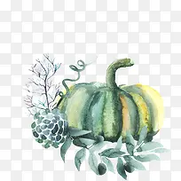 水彩花卉蔬菜南瓜-空若网 水彩花卉蔬菜南瓜-空若网