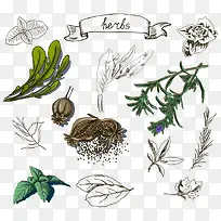 �߲�-������