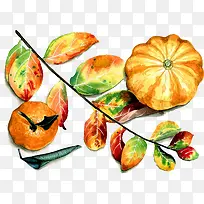 ÊÖ»æÊß²ËË®¹û-¿ÕÈôÍø ÊÖ»æÊß²ËË®¹û-¿ÕÈôÍø