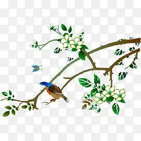 树枝-空若网 树枝-空若网