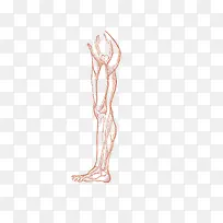 手绘大腿设计素材-空若网 手绘大腿设计素材-空若网