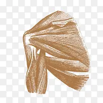 ��ͨ���弡������ز�-������