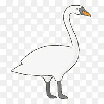 ��ɫ���-������