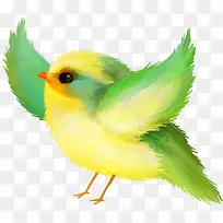 水彩小鸟-空若网 水彩小鸟-空若网