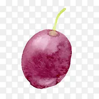 矢量手绘水彩逼真红提-空若网 矢量手绘水彩逼真红提-空若网