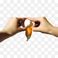 手-空若网 手-空若网