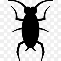 昆虫蟑螂电脑图标剪辑艺术蟑螂-空若网 昆虫蟑螂电脑图标剪辑艺术蟑螂-空若网