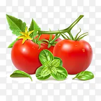 ��ɫ���������������-������