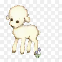 可爱小羊羔-空若网 可爱小羊羔-空若网
