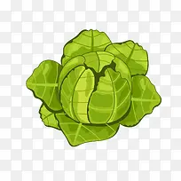 ������ɫʳ���������-������