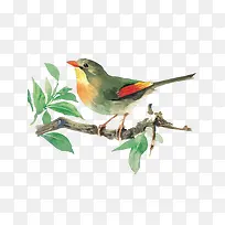 树上的小鸟-空若网 树上的小鸟-空若网