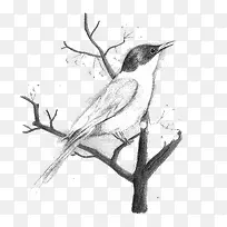 ��ȸ-������