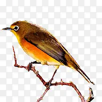 С��-������