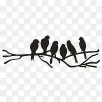 ��Ӱ��֦-������