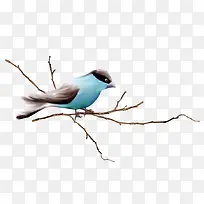 С��ȸ-������