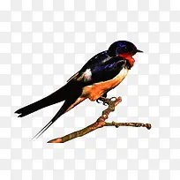 Âéȸ-¿ÕÈôÍø Âéȸ-¿ÕÈôÍø