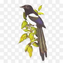 水墨画素材-空若网 水墨画素材-空若网