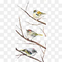 ��֦����ȸ-������