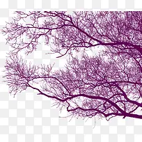 ¸É¿ÝµÄÊ÷ľ-¿ÕÈôÍø ¸É¿ÝµÄÊ÷ľ-¿ÕÈôÍø