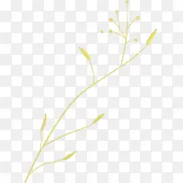 树枝-空若网 树枝-空若网