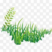 ��ɫ�Ĳݴ�ʸ���ز�-������