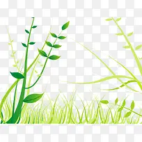 树枝-空若网 树枝-空若网