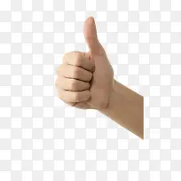 Ĵָ����-������