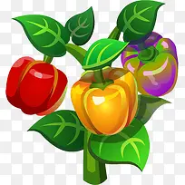 辣椒树-空若网 辣椒树-空若网