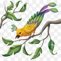 ��֦�ϵ�С��-������