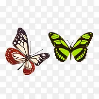 ��ɫ����-������