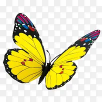 ��ͨ����-������