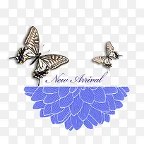 �����ز�-������