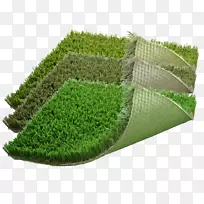 草坪人工草坪草植物灌木-草坪-空若网 草坪人工草坪草植物灌木-草坪-空若网