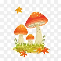 ˮ��Ģ��-������