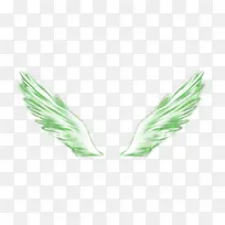 绿色翅膀-空若网 绿色翅膀-空若网