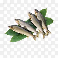 小黄鱼-空若网 小黄鱼-空若网