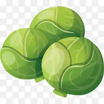 蔬菜 洋白菜-空若网 蔬菜 洋白菜-空若网