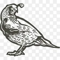 ��ɫ������ͨʸ������-������