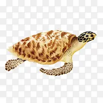 ʸ������-������