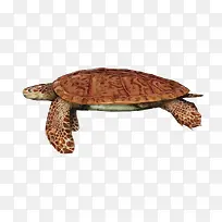 ʸ������-������