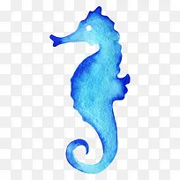 水彩海马-空若网 水彩海马-空若网