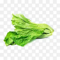 小白菜蔬菜-空若网 小白菜蔬菜-空若网