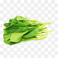 绿色小白菜-空若网 绿色小白菜-空若网